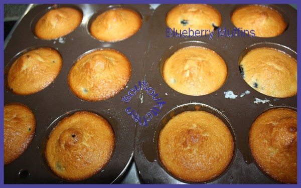 2010-10-07 Blueberry muffins4-copie-1
