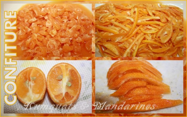 Confiture Kumquats & Mandarines (3)